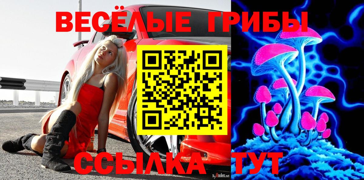 Псилоцибиновые грибы мухоморы Котлас